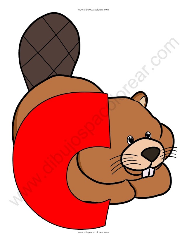 Letra C Castor abecedario dibujo a color y para colorear